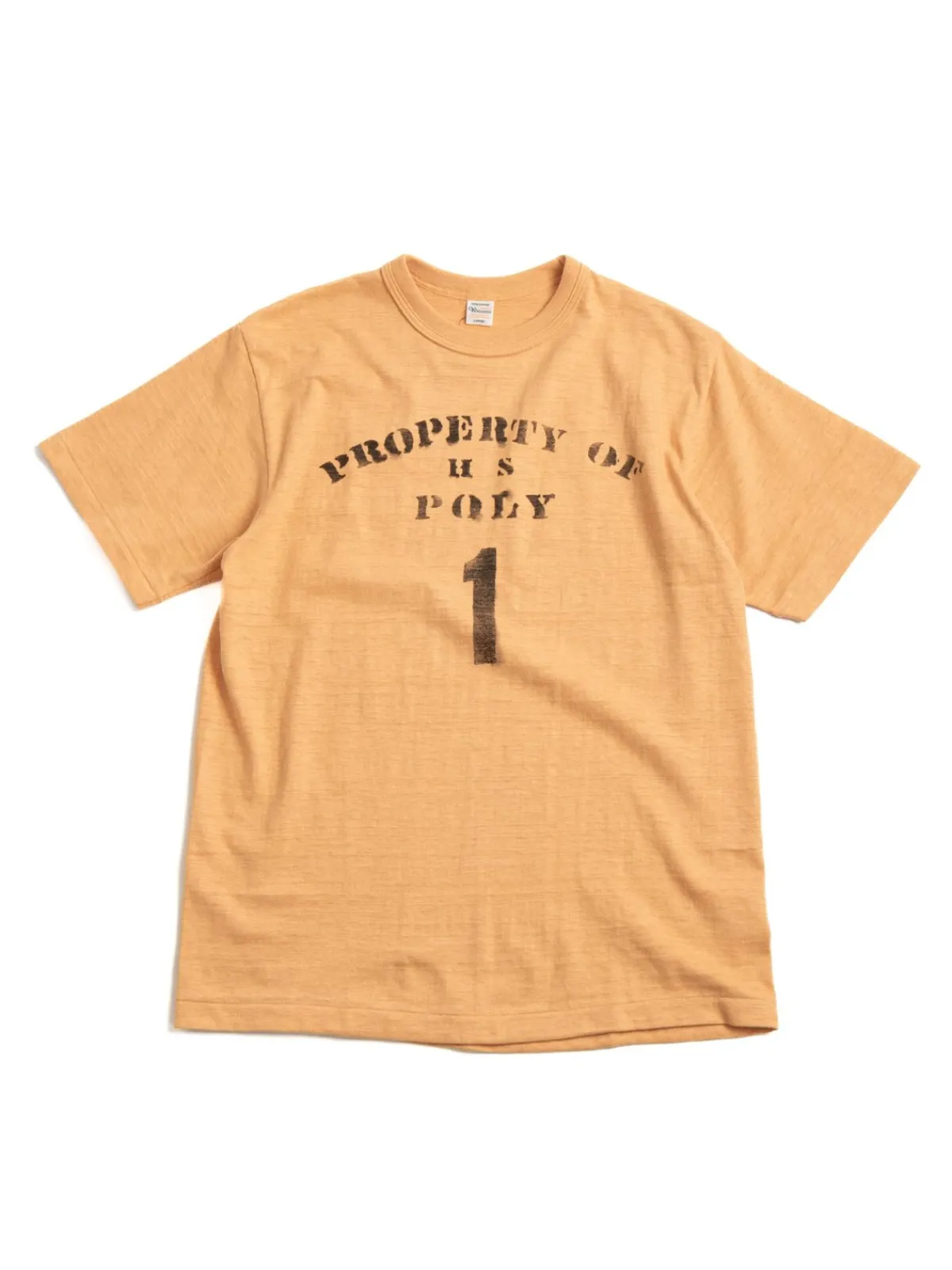 LOT 4601 PROPERTY OF HS POLY ORANGE | Warehouse & Co Outlet
